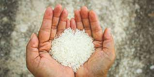 Fortification of rice with iron is an unscientific and concerning intervention